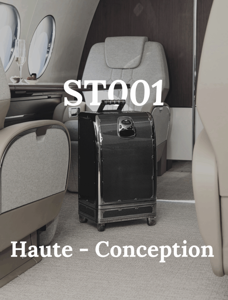 ST001 PAGE ACCUEIL SITE STL